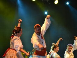 Festival de Folkore en Mula